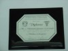 diploma Italia en placa de aluminio Anodizado de 175 mm x 250 mm, grabado con sus datos, en base de cristal, polister (polyester), o madera, con su logotipo impreso y o grabado