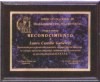 cuadro con placa met?lica, escrito en mismo color que la placa met?lica con diferentes fondos, puede incluir alg?n logotipo de empresa o instituci?n.