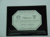 diploma Italia en placa de aluminio Anodizado de 175 mm x 250 mm, grabado con sus datos, en base de cristal, poli?ster (polyester), o madera, con su logotipo impreso y o grabado